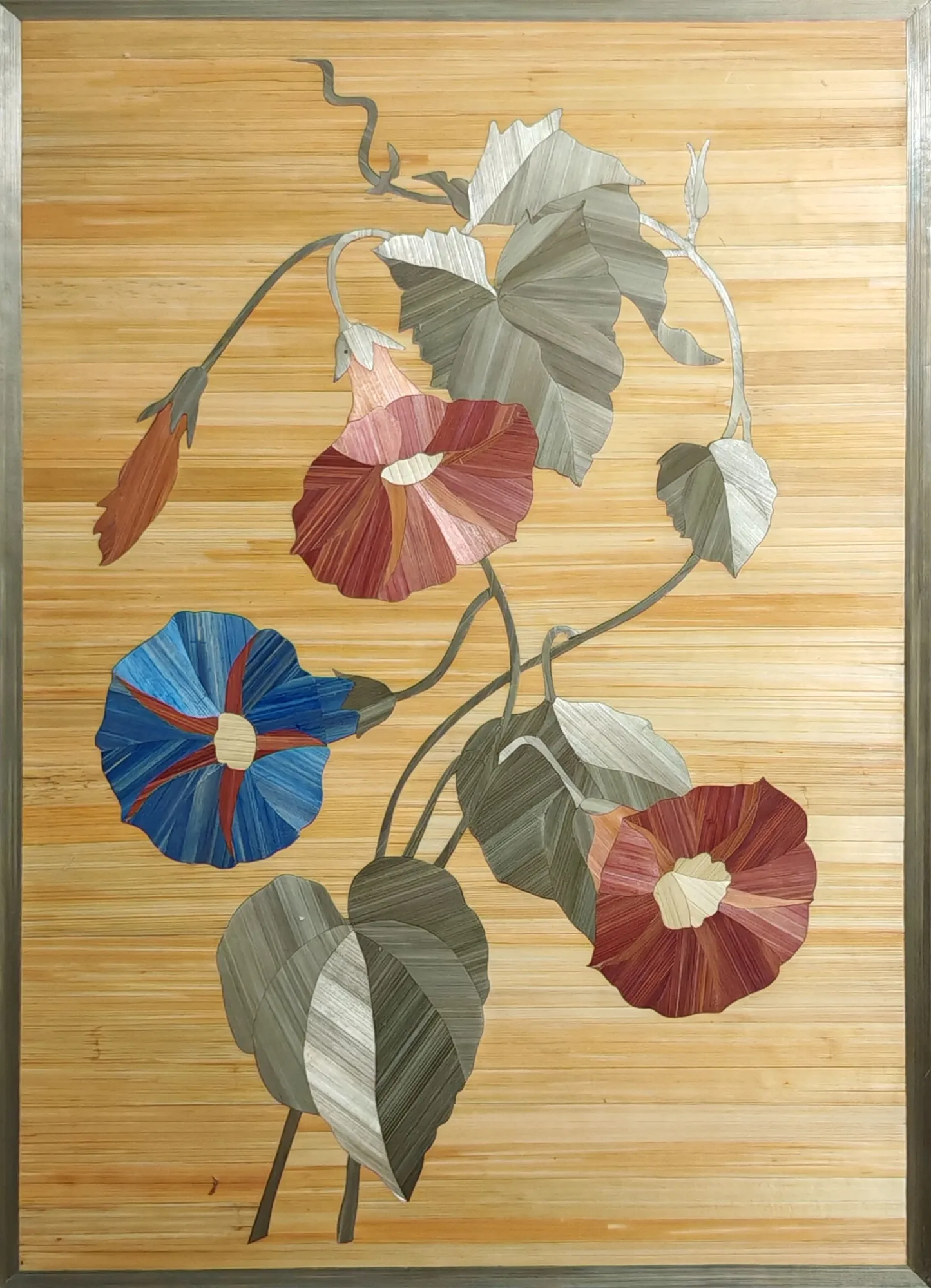 Tableau Fleur Ipomea 1